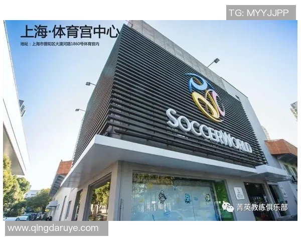 成都索福德足球助力青少年成长打造未来足球明星的摇篮 成都索福德足球助力青少年成长打造未来足球明星的摇篮