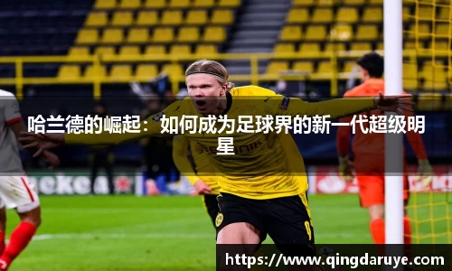 JN江南体育官方网站