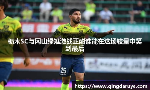 乐动LDSports官网